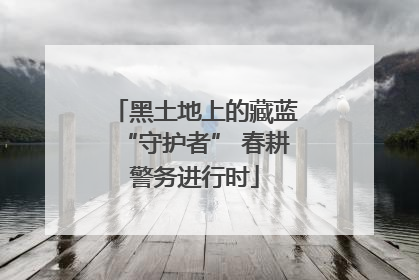 黑土地上的藏蓝“守护者” 春耕警务进行时