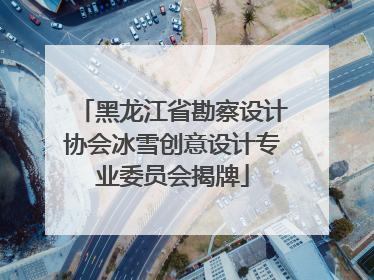 黑龙江省勘察设计协会冰雪创意设计专业委员会揭牌