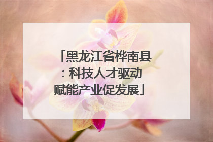 黑龙江省桦南县：科技人才驱动 赋能产业促发展