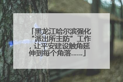 黑龙江哈尔滨强化“派出所主防”工作，让平安建设触角延伸到每个角落……