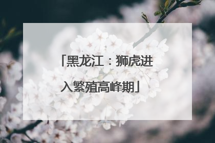 黑龙江：狮虎进入繁殖高峰期