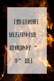 黟县碧阳镇五里村盛夏桃熟好“丰”景