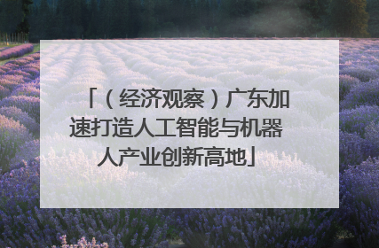 （经济观察）广东加速打造人工智能与机器人产业创新高地