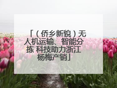 （侨乡新貌）无人机运输、智能分拣 科技助力浙江杨梅产销