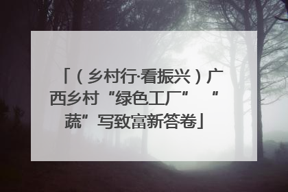 （乡村行·看振兴）广西乡村“绿色工厂” “蔬”写致富新答卷