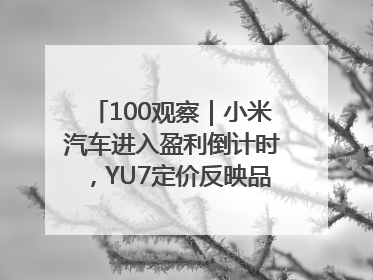100观察｜小米汽车进入盈利倒计时，YU7定价反映品牌升维战略
