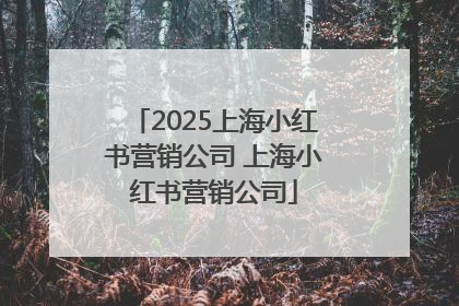 2025上海小红书营销公司 上海小红书营销公司