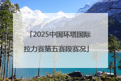 2025中国环塔国际拉力赛第五赛段赛况