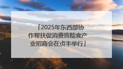 2025年东西部协作帮扶促消费暨糯食产业招商会在贞丰举行
