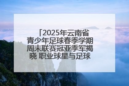 2025年云南省青少年足球春季学期周末联赛冠亚季军揭晓 职业球星与足球小将共享荣耀时刻