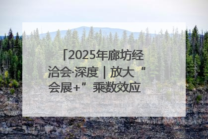 2025年廊坊经洽会·深度｜放大“会展+”乘数效应 打造消费新场景