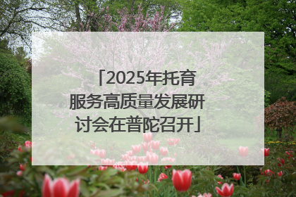 2025年托育服务高质量发展研讨会在普陀召开