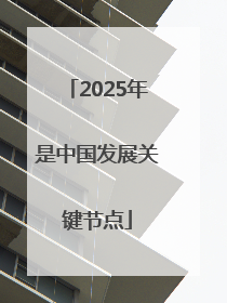 2025年是中国发展关键节点