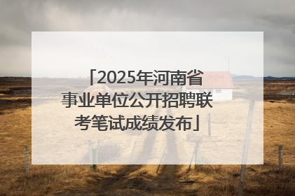 2025年河南省事业单位公开招聘联考笔试成绩发布