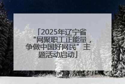 2025年辽宁省“网聚职工正能量，争做中国好网民”主题活动启动