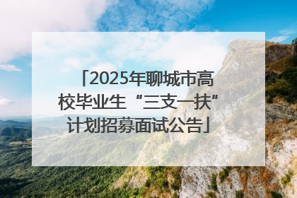 2025年聊城市高校毕业生“三支一扶”计划招募面试公告