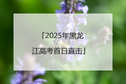 2025年黑龙江高考首日直击