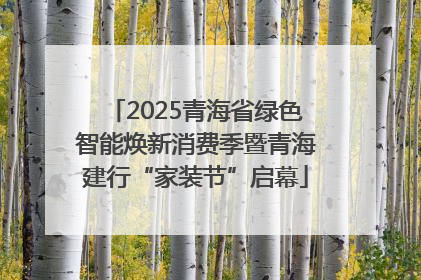 2025青海省绿色智能焕新消费季暨青海建行“家装节”启幕