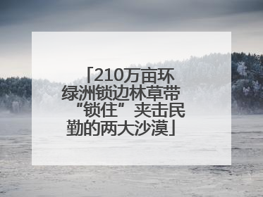 210万亩环绿洲锁边林草带“锁住”夹击民勤的两大沙漠
