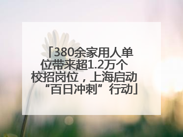 380余家用人单位带来超1.2万个校招岗位，上海启动“百日冲刺”行动