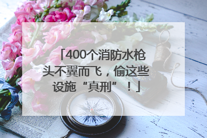 400个消防水枪头不翼而飞，偷这些设施“真刑”！