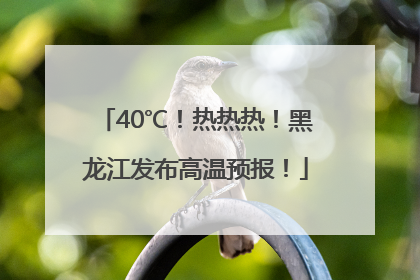 40℃！热热热！黑龙江发布高温预报！