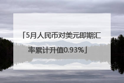 5月人民币对美元即期汇率累计升值0.93%