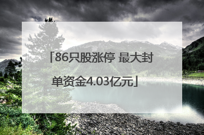 86只股涨停 最大封单资金4.03亿元