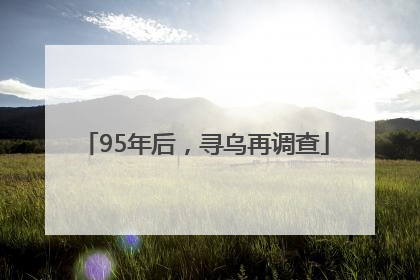 95年后，寻乌再调查