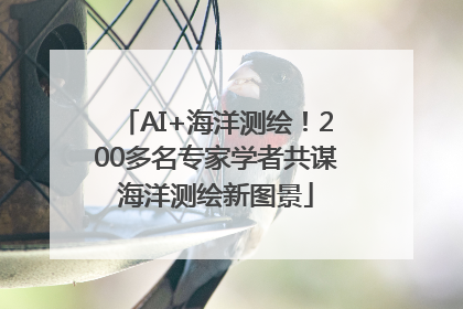 AI+海洋测绘！200多名专家学者共谋海洋测绘新图景