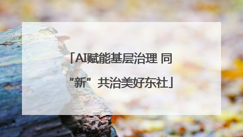 AI赋能基层治理 同“新”共治美好东社