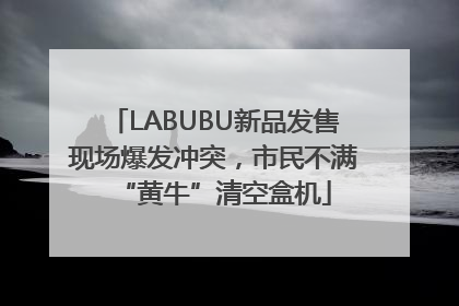 LABUBU新品发售现场爆发冲突，市民不满“黄牛”清空盒机